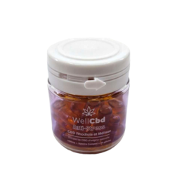Complément alimentaire anti-stress WELL CBD  CBD + Rhodiola + Mélisse