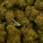 Fleur de CBD - CANDY KUSH Fleur de CBD - CANDY KUSH