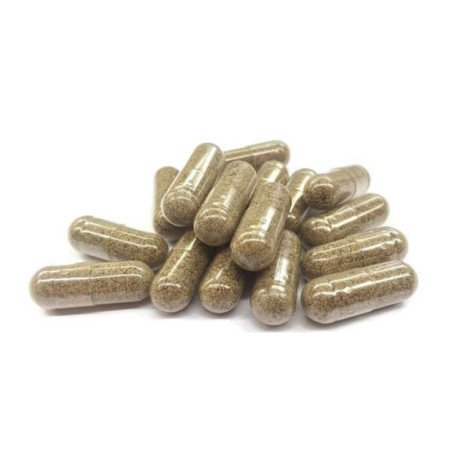 Ingrédients actifs  15 mg CBN, 166 mg de chaque champignon par gélule