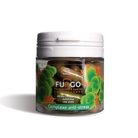Gélule CBD & chignons anti-stress | FUNGO, NOVALOA