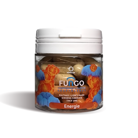 Gélule THCV & chignons énergie | FUNGO, NOVALOA