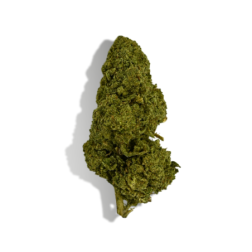 Fleur de CBD BZ1, relaxation, infusion et vaporisation