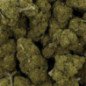 Fleur de CBD - CHARLOTTE'S WEB Fleur de CBD - CHARLOTTE'S WEB