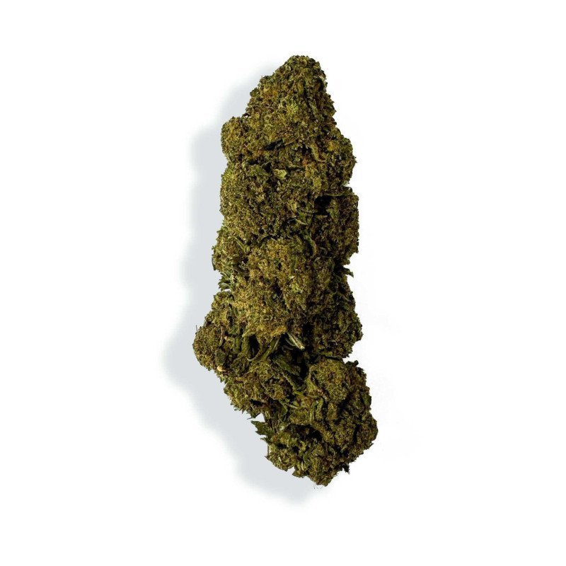 Fleur de CBD - CHARLOTTE'S WEB Fleur de CBD - CHARLOTTE'S WEB