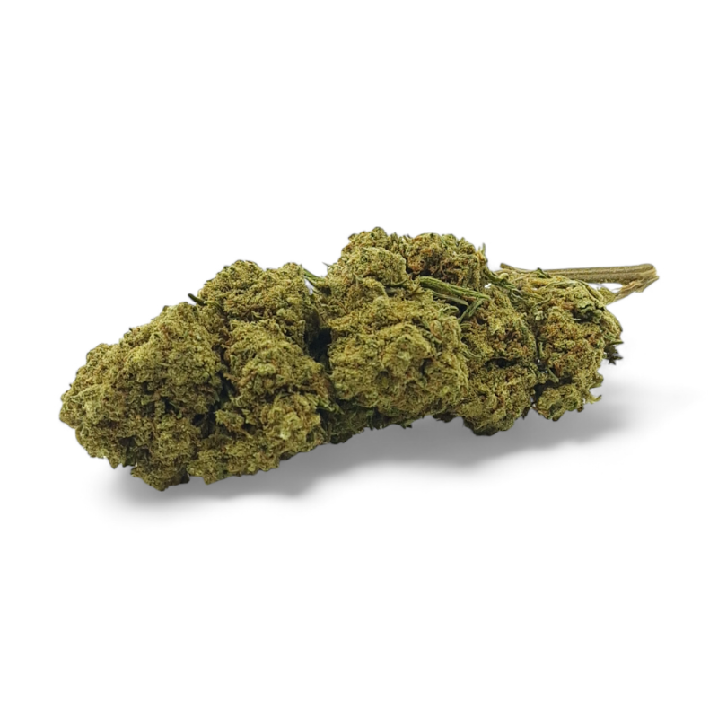 Fleur de CBD Harlequin Indoor Premium Fleur de CBD Harlequin Indoor Premium