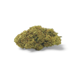 Fleur de CBD San Francisco, greenhouse, 12% de CBD