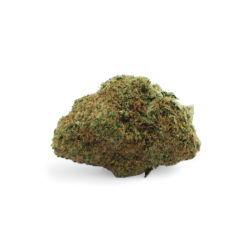 Fleur de CBD Amnesia 2.0, indoor premium, plus de 12% de CBD