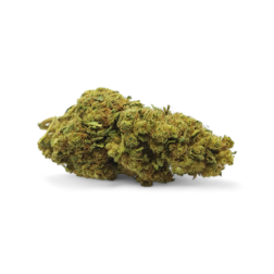 Fleurs de CBD Limoncello Premium, premium, 13% de CBD