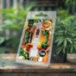Wax Amnesia 1ml 66% CBD | PLANT OF LIFE Wax Amnesia 1ml 66% CBD | PLANT OF LIFE