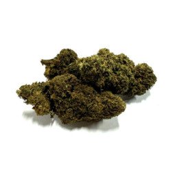 Relaxation botanique sans THC avec muscimol naturel