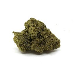 Fleur de CBD Frozen Premium est une variété exceptionnelle