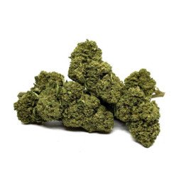 Fleurs de CBD Gorilla Glue, relaxation, vaporisation et infusion