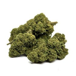 Découvrez les Fleurs de CBD Gorilla Glue, des fleurs greenhouse avec 8% de CBD. Saveurs terreuses et effets relaxants