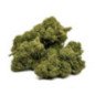 Fleur de CBD Gorilla Glue Greenhouse Fleur de CBD Gorilla Glue Greenhouse
