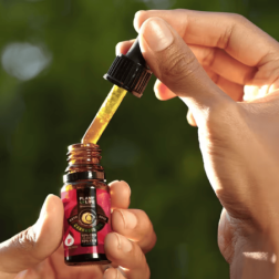 Flacon huile CBN & CBD 10% PLANT OF LIFE - Spectre complet