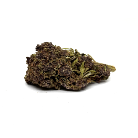 Fleur de CBD Purple Haze 2.0 Premium, culture indoor, 17% CBD, Suisse
