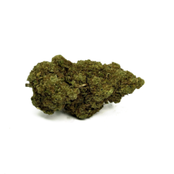 Fleur de CBD BLUE DREAM, Culture greenhouse, 19% CBD