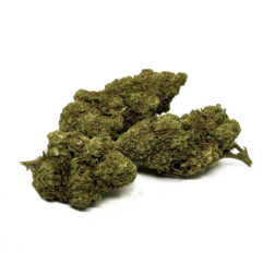 Fleur CBD Blue Dream Greenhouse