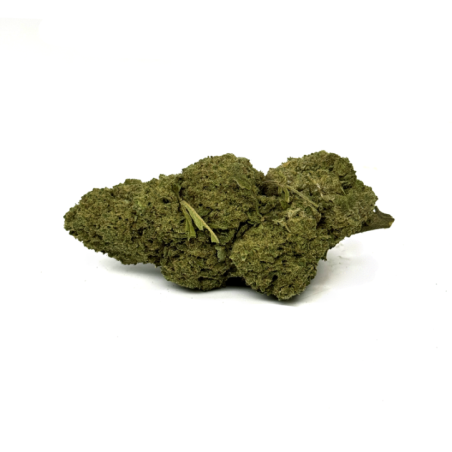 Vue rapprochée des petites têtes de TRIM CBD - MICRO BUD PREMIUM, riches en trichomes et avec un aspect compact