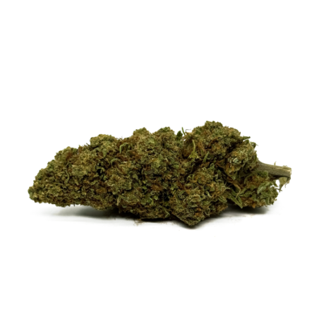 La Fleur de CBD Orange Bud avec des arômes d'agrumes frais et des fleurs soyeuses cultivées en serre premium italienne