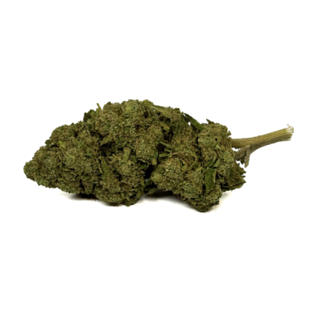 Fleur de CBD OG Kush Greenhouse, culture greenhouse, plus de 13% de CBD