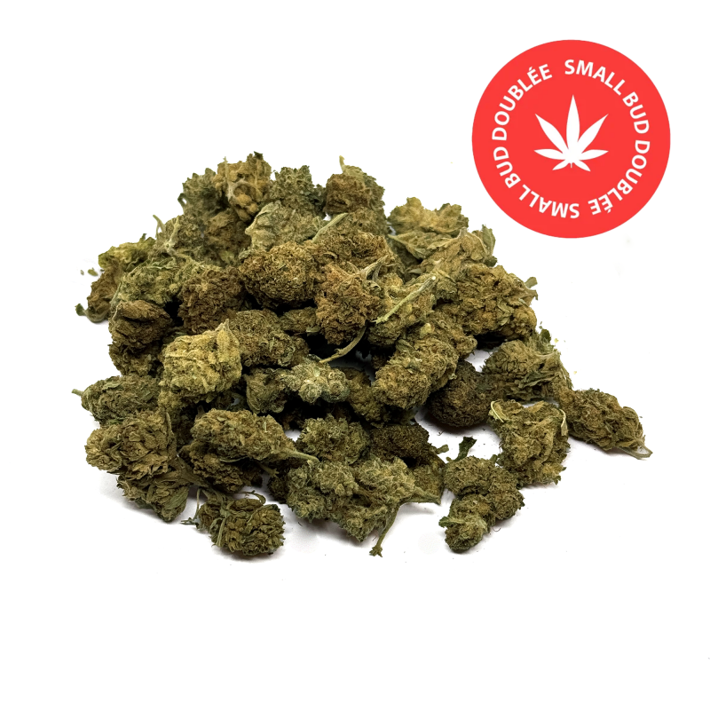Fleur CBD Mixte Small & Big Bud Fleur CBD Mixte Small & Big Bud