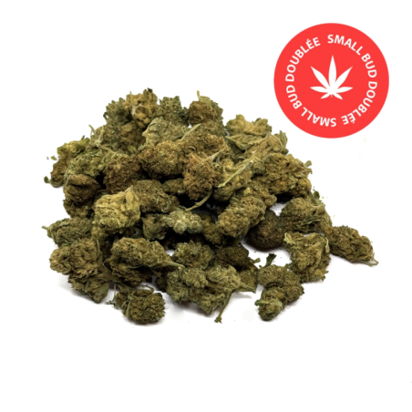Trichomes visibles sur la Fleur CBD  Riche en cannabinoïdes naturels