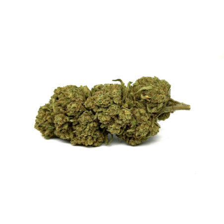 Fleur de CBD Amnesia Haze, culture indoor, plus de 11% de CBD