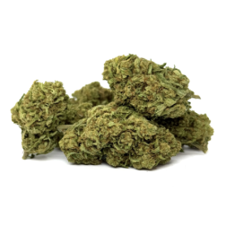Fleur de CBD Amnesia Haze, effets énergisants, infusion et vaporisation