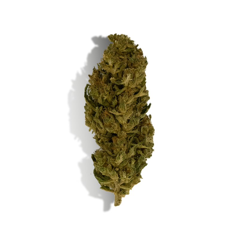 Fleur de CBD - LEMON HAZE Fleur de CBD - LEMON HAZE