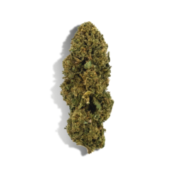 Le Coffret Découverte Débutant Fleurs CBD est parfait pour ceux qui souhaitent explorer le monde du cannabidio