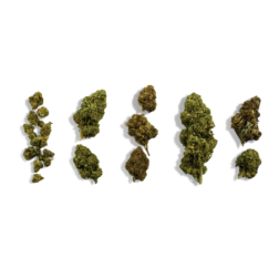 Ce coffret est-il adapté aux débutants ?Oui, il est conçu pour faire découvrir différentes variétés et effets du CBD.