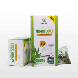 Sachet prêdosé tisane CBD bio saveur menthe POP CBD