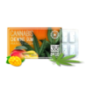 Chewing-gum CBD mangue | MULTITRANCE Chewing-gum CBD mangue | MULTITRANCE