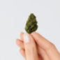 Fleur de CBD - BUBBLEGUM Fleur de CBD - BUBBLEGUM