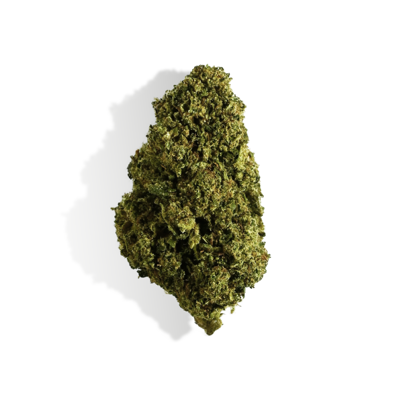 Fleur de CBD - BUBBLEGUM Fleur de CBD - BUBBLEGUM