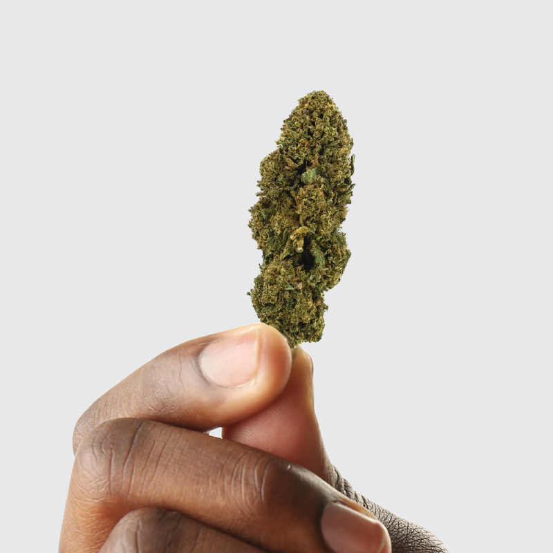 Fleur de CBD - WHITE DAWG Fleur de CBD - WHITE DAWG