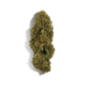 Fleur de CBD - WHITE DAWG Fleur de CBD - WHITE DAWG