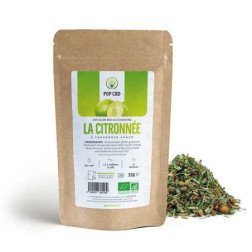 Sachet de tisane CBD bio saveur citron pour relaxation
